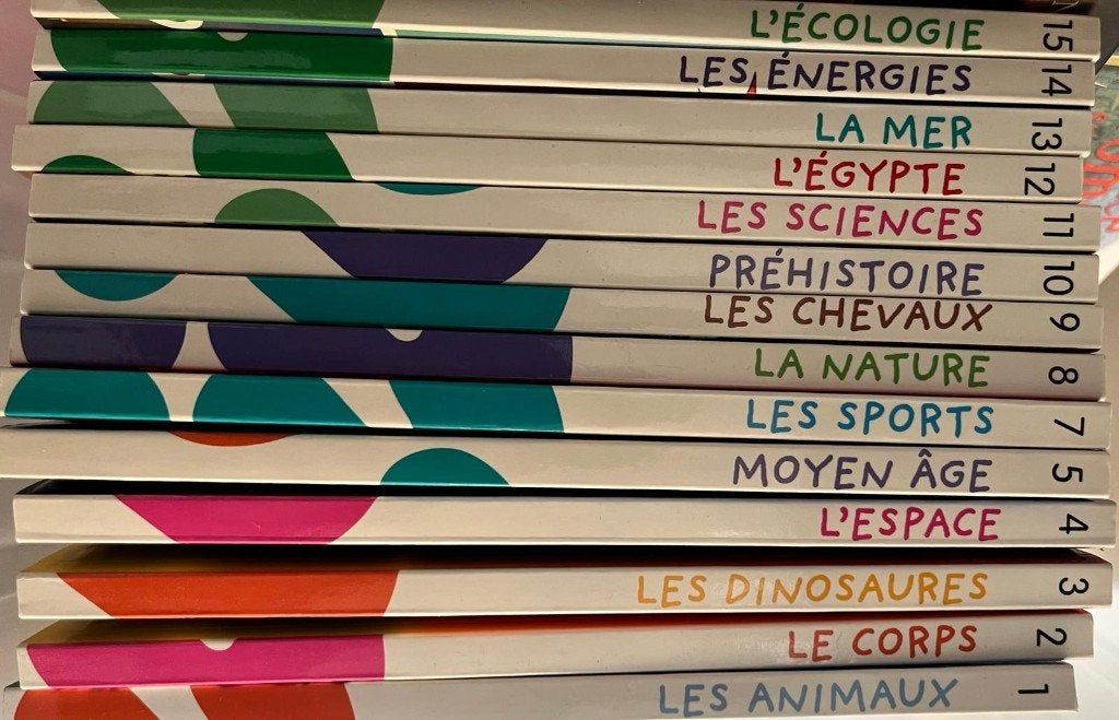 Collection documentaire « Pourquoi, comment ? » – 14 livres, Boeken, Ophalen of Verzenden, Zo goed als nieuw, Non-fictie