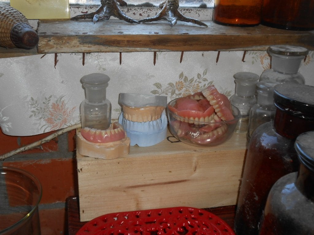 curiosa menselijk gebit, Ophalen of Verzenden