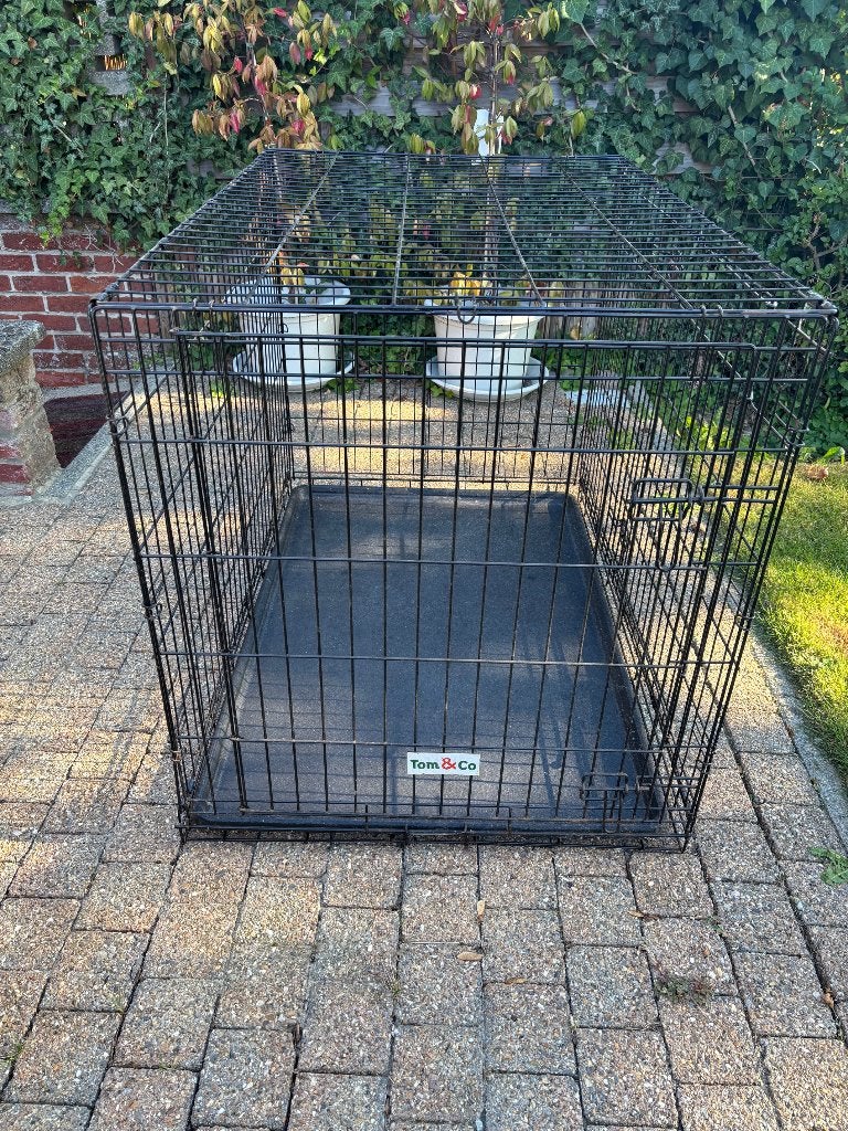 cage à chien "Tom & Co", Animaux & Accessoires, Enlèvement, Utilisé