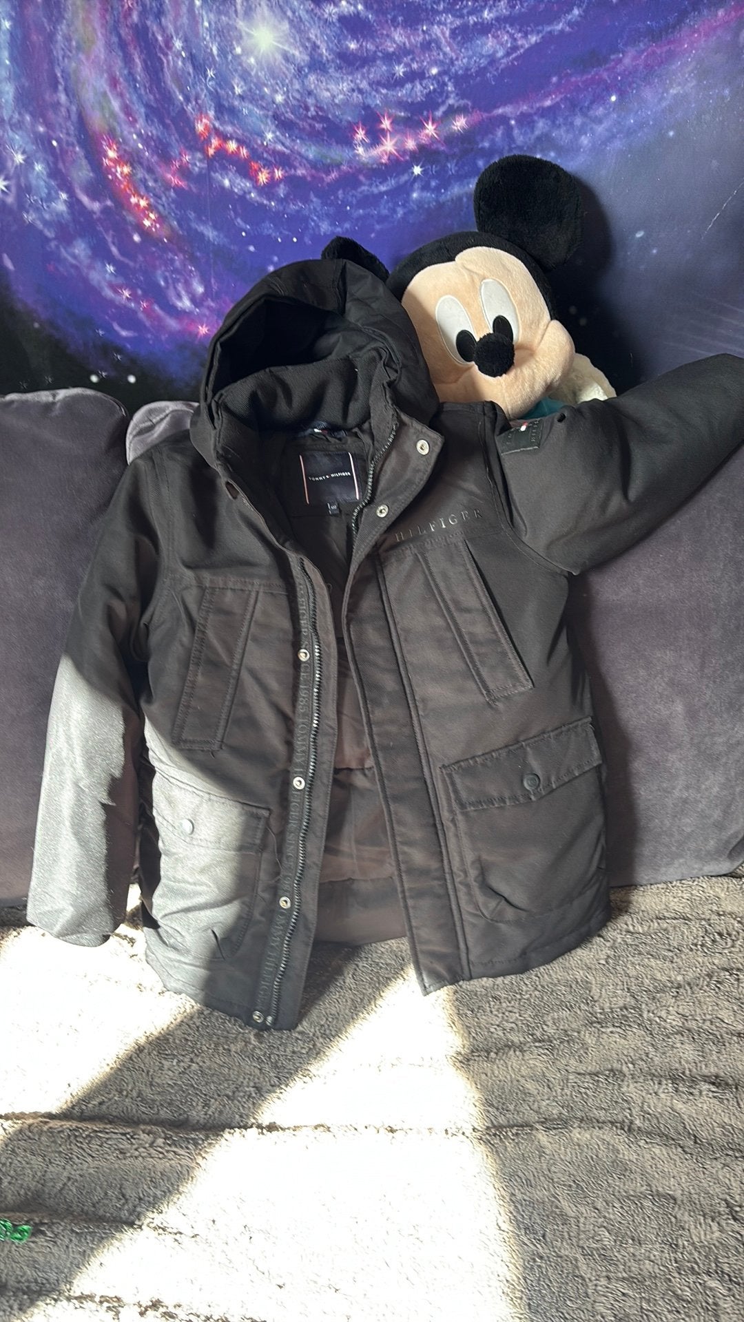 Tommy hilfiger, Ophalen, Zo goed als nieuw, Jas