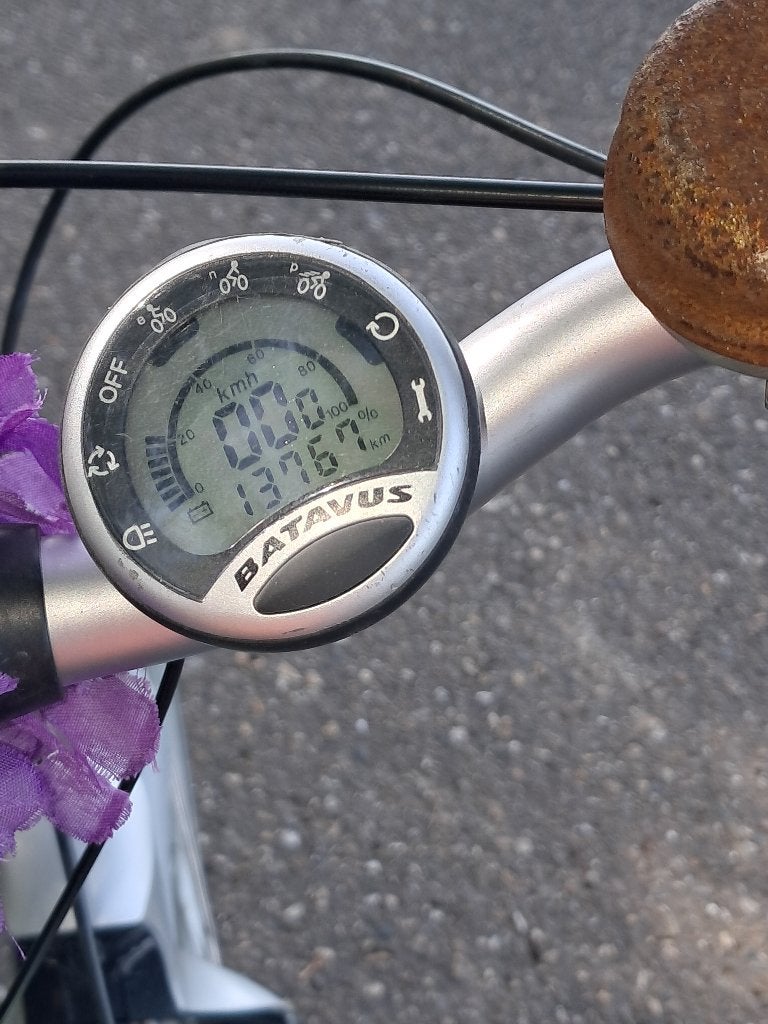 Batavus Padova Easy, Batavus, Utilisé, 30 à 50 km par batterie, Enlèvement