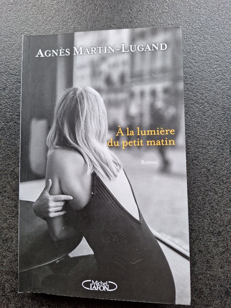 A la lumière du petit matin - Agnès Martin-Lugand, Comme neuf, Agnès Martin-Lugand, Enlèvement, Europe autre