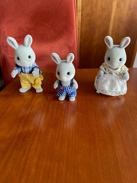Sylvanian Cottontail konijnenfamilie, Ophalen of Verzenden, Gebruikt, Poppenhuis