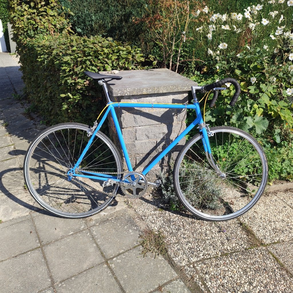 Vintage met enkele snelheid, Fietsen en Brommers, Velgrem, Zo goed als nieuw, 53 tot 57 cm, Ophalen