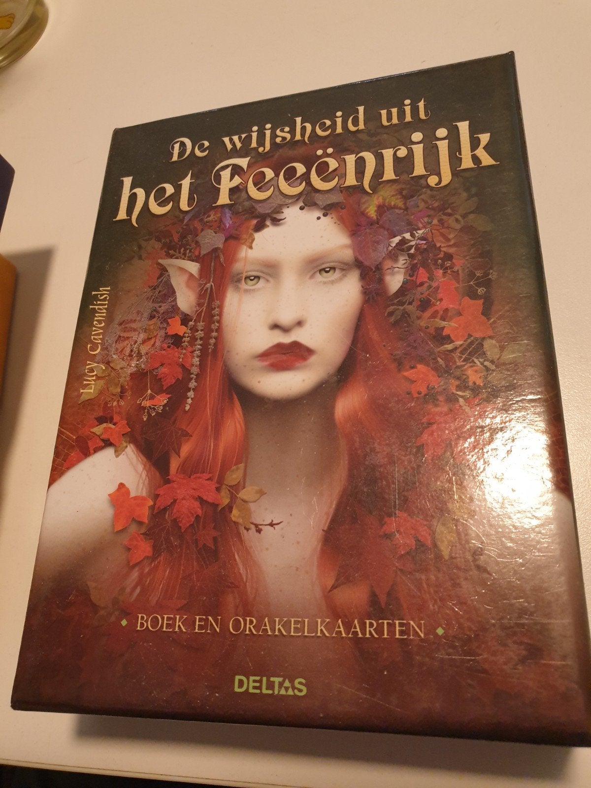 Lucy Cavendsih - De wijsheid uit het Feeënrijk, Ophalen of Verzenden, Zo goed als nieuw, Lucy Cavendsih