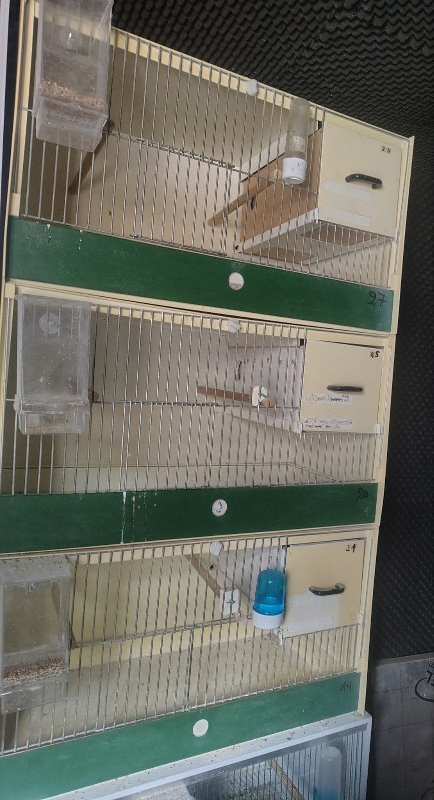 Cages d'élevage en plastique, Animaux & Accessoires, Enlèvement, Utilisé, Synthétique, Cage d'élevage