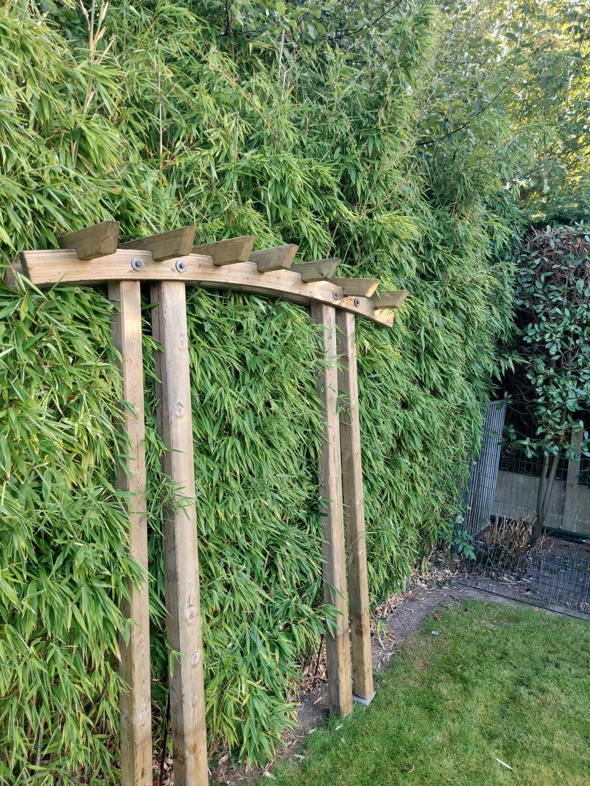 Rozenboog in hout., Tuin en Terras, Ophalen, Gebruikt