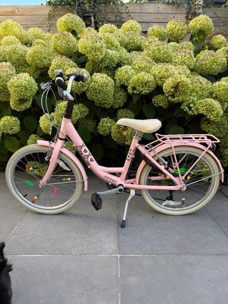 Kinderfiets Bike Fun Lots of Love, Fietsen en Brommers, Ophalen, Gebruikt, 20 inch, BikeFun Kids (BFK)