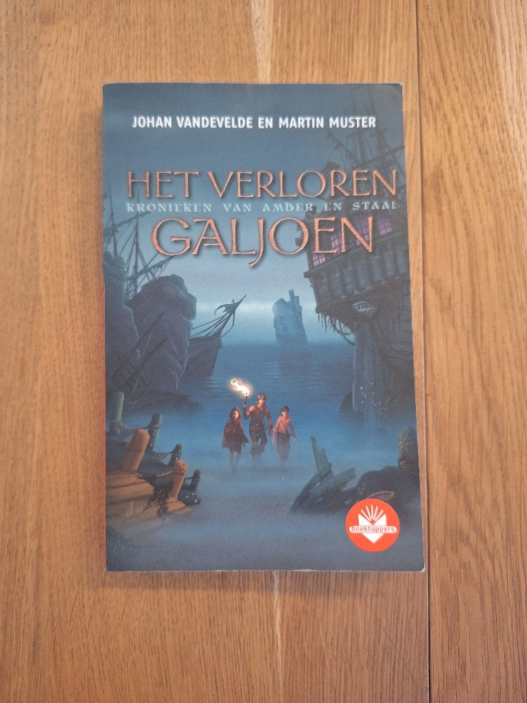 Het verloren galjoen, Boeken, ASO, Ophalen of Verzenden, Zo goed als nieuw, Van In