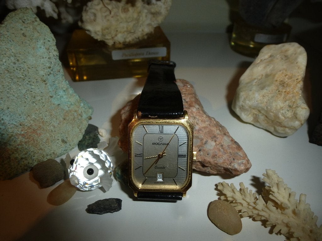 Montre RODANIA, Montre-bracelet, Autres marques, Cuir, Acier