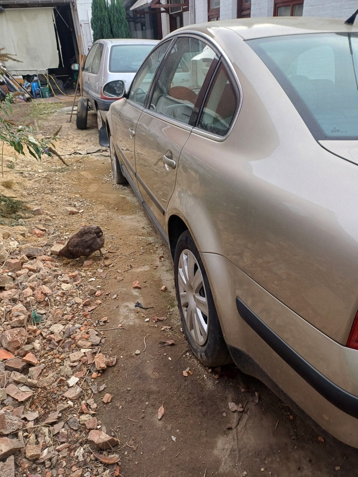 vw passat, Autos, Cuir, Achat, Alarme, Carnet d'entretien