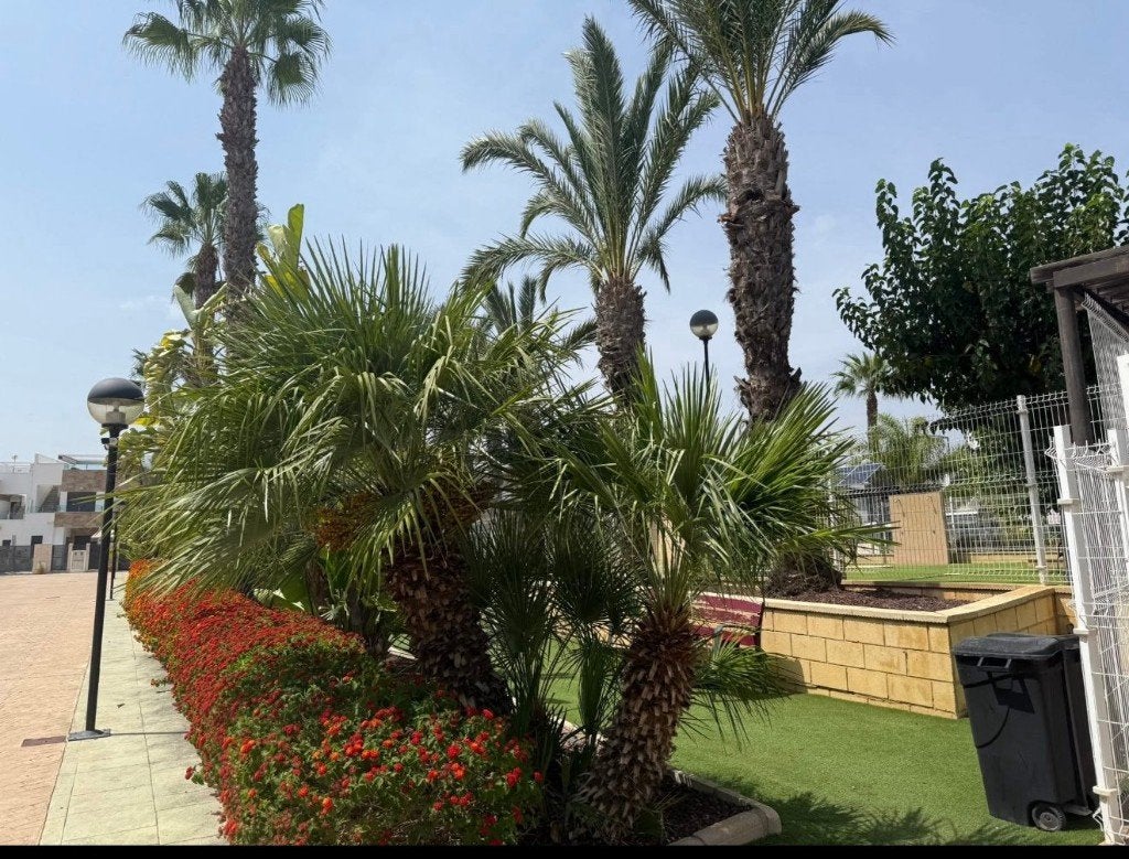 Appartement à louer à Villamartin/Orihuela Costa - Espagne, Immo