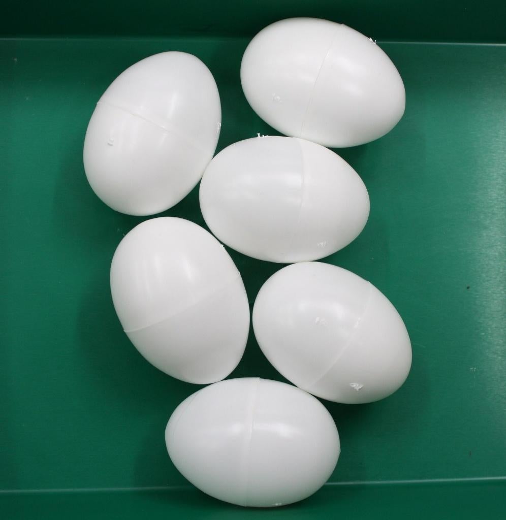 Oeufs de poule en plastique, Enlèvement, Neuf, Poulailler