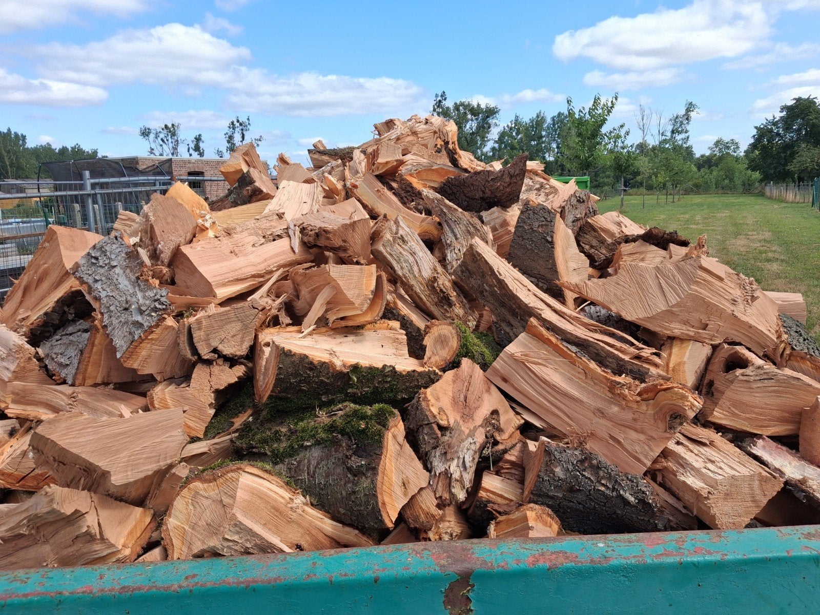 brandhout kersenboom, Ophalen