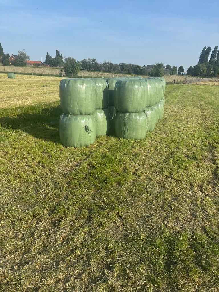 Voordroog, Dieren en Toebehoren, Ophalen