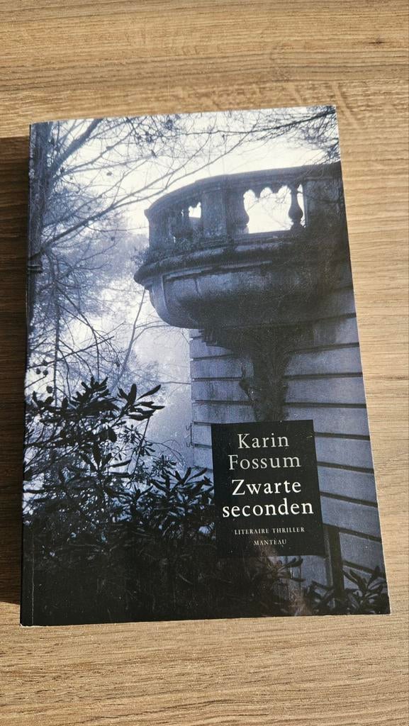 Karin Fossum zwarte seconden, Enlèvement