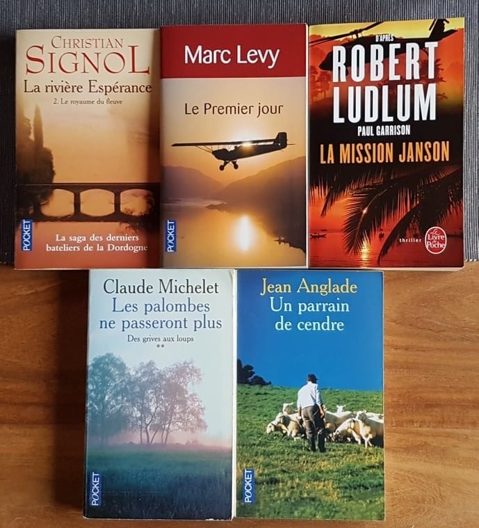 lot 5 livres romans Levy Signol Michelet Anglade Ludlum, Enlèvement ou Envoi, Comme neuf