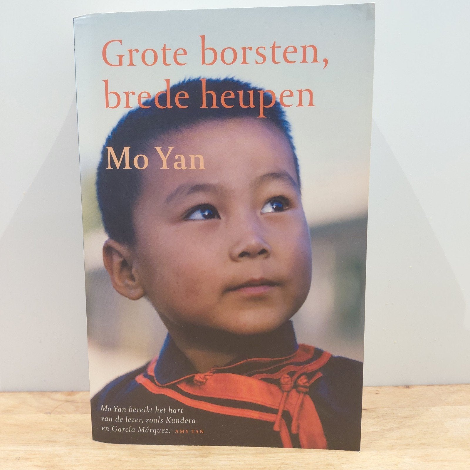 Mo Yan - Grote borsten, brede heupen, Ophalen of Verzenden, Zo goed als nieuw, Mo Yan