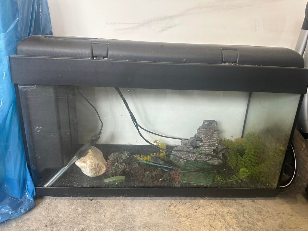 Aqurium te koop, Dieren en Toebehoren