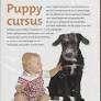 Puppy cursus in zeven stappen naar een ideale pup  Bailey, Enlèvement ou Envoi, Comme neuf