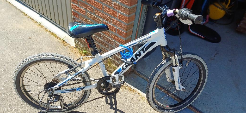Kinderfiets Gaint 20 inch, Ophalen, Gebruikt, 20 inch