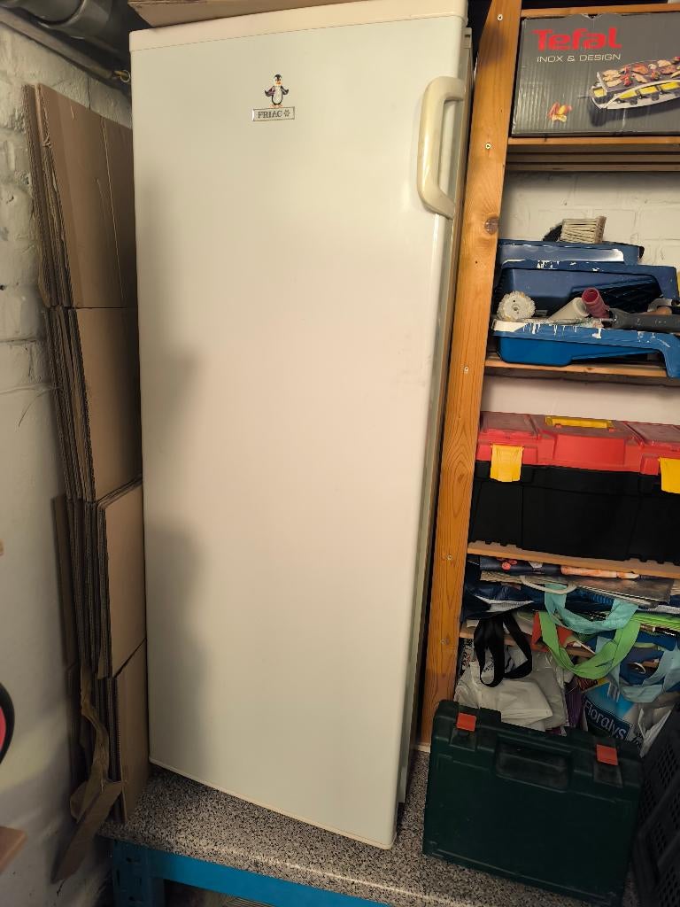 Diepvriezer, Elektronische apparatuur, Vriezers en Diepvrieskisten, Gebruikt, Minder dan 60 cm, 140 tot 160 cm, Vrijstaand