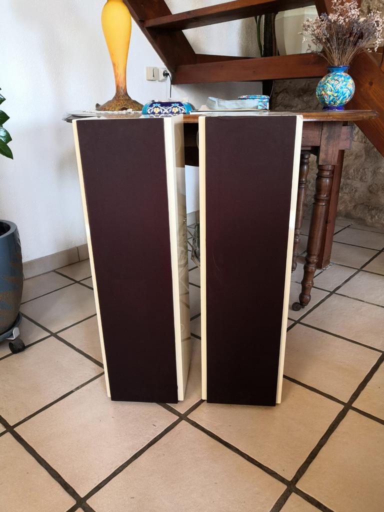 Enceintes RAM Osiris, TV, Hi-fi & Vidéo, Enceintes, Enlèvement, Utilisé, 60 à 120 watts, Autres marques