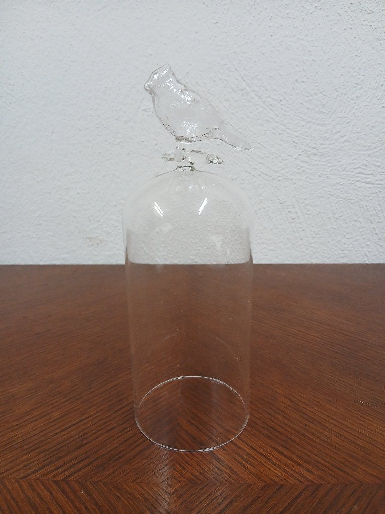 Elegante Glazen Stolp / Stolpdeksel met Vogelknop, Verre, Enlèvement ou Envoi, Comme neuf