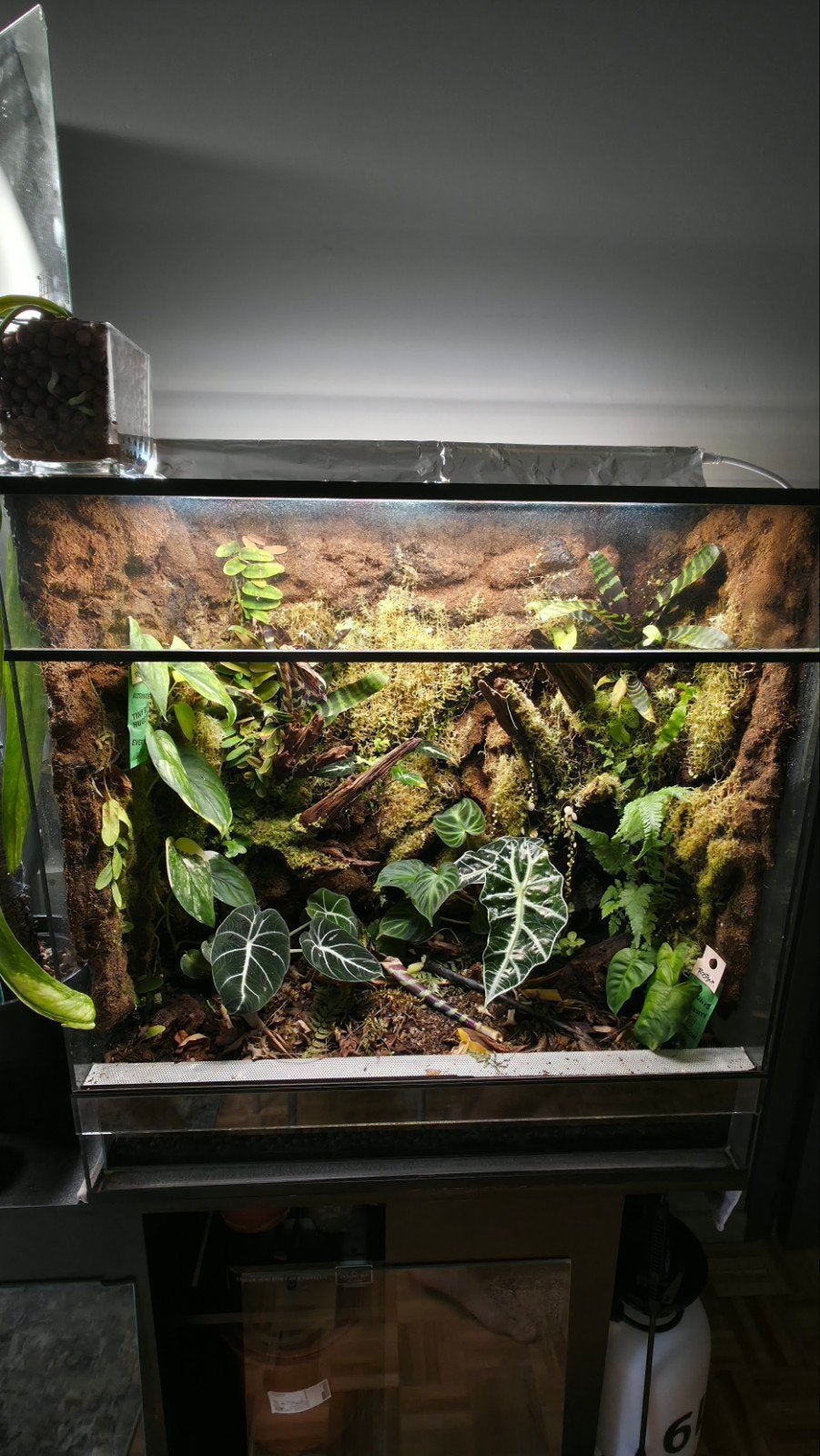 Terrarium, Ophalen