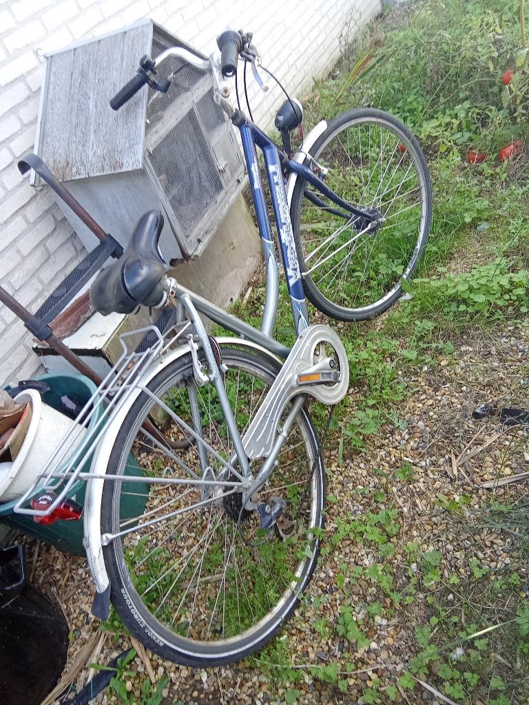 Dames fiets, Fietsen en Brommers, Ophalen