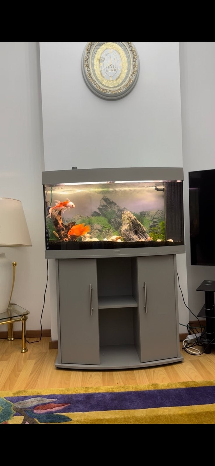 Aquariums et accessoires, Animaux & Accessoires, Enlèvement, Comme neuf