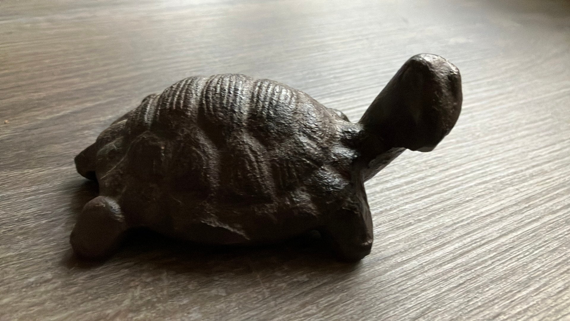 Mooie smeedijzeren schildpad gietijzer, Ophalen of Verzenden, Zo goed als nieuw