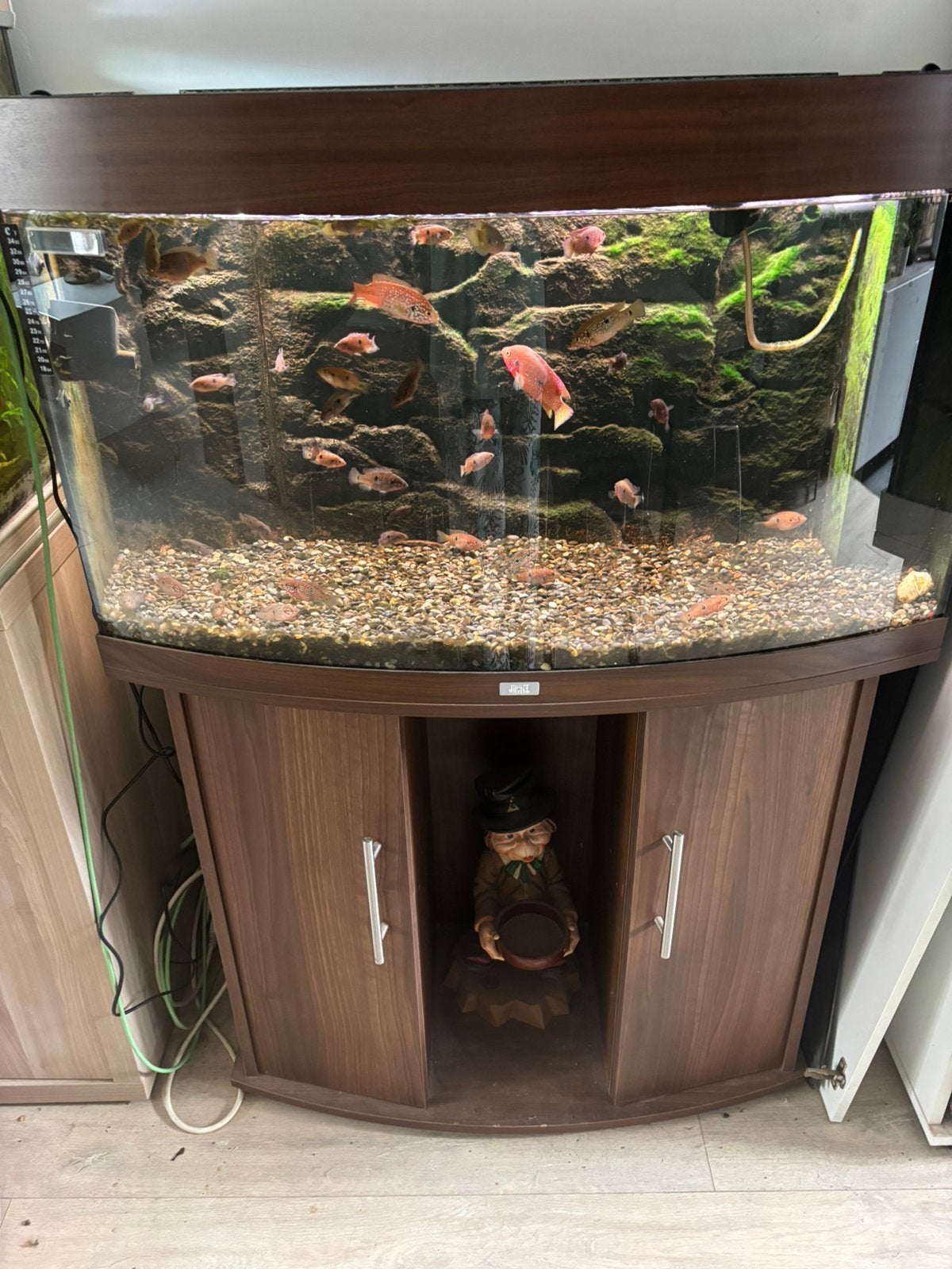 Aquarium + toebehoren en vissen, Enlèvement, Comme neuf