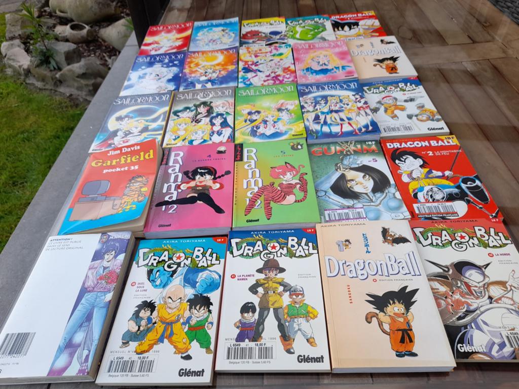 Strips 1996 in het frans, Livres, Enlèvement