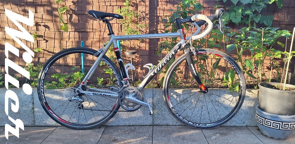 Wilier Triestina Racefiets TOPSTAAT Fiets Medium Koersfiets, 49 tot 53 cm, Zo goed als nieuw, 15 tot 20 versnellingen, Ophalen