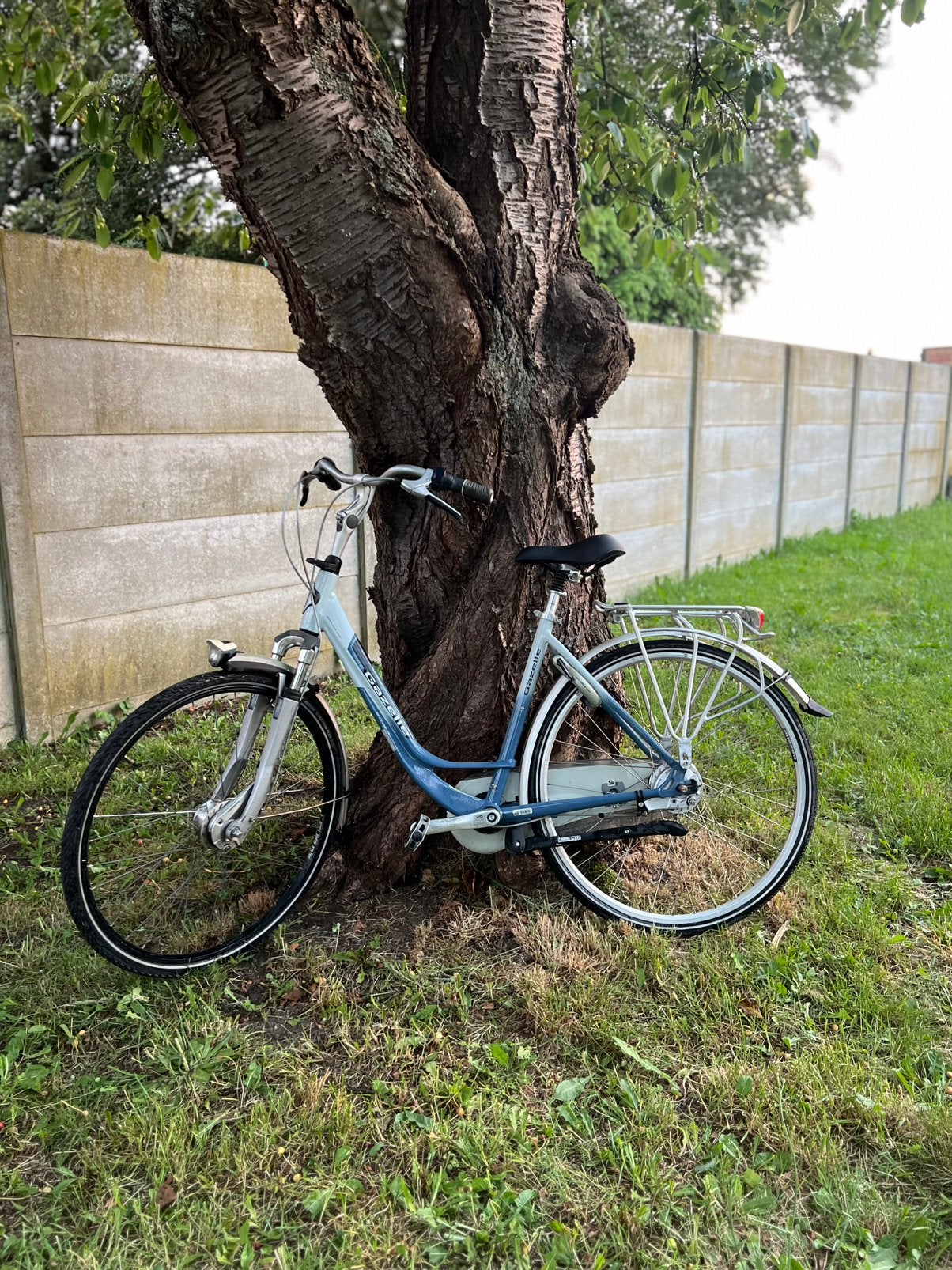 Gazelle fiets, Accès (extra) bas, Frein à tambour, Comme neuf, Enlèvement