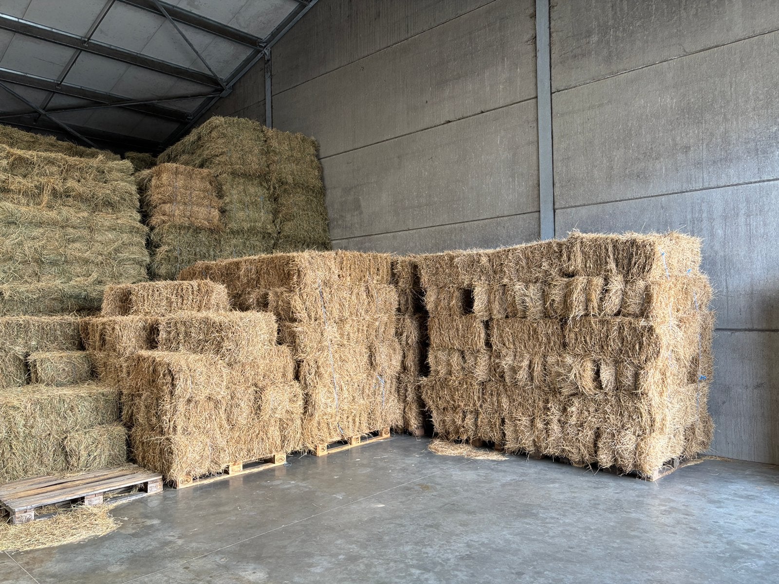 Kleine balen paardenhooi te koop, Dieren en Toebehoren, Ophalen