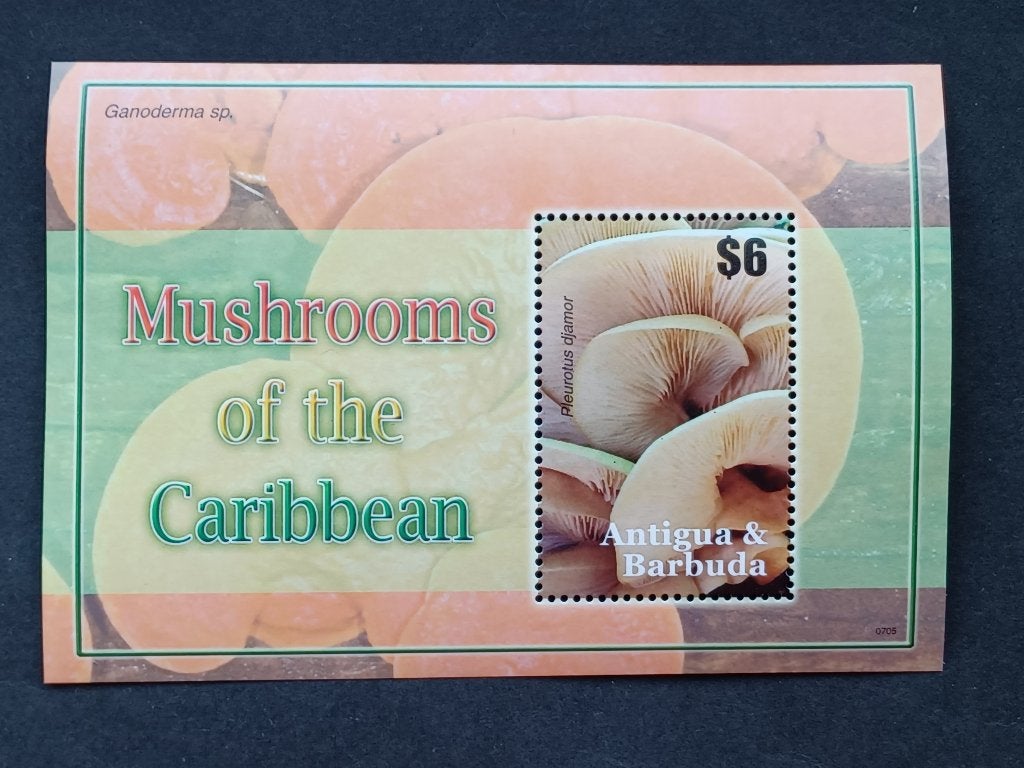 Postzegels Paddenstoelen - Antigua, Postzegels en Munten, Ophalen of Verzenden, Postfris