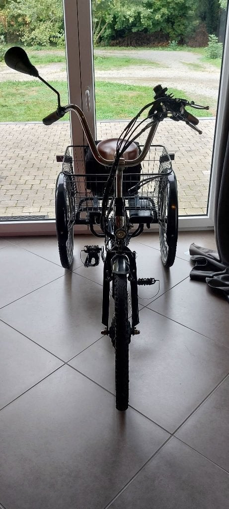 Tricycle électrique, Vélos & Vélomoteurs, Enlèvement, Utilisé, EASU RIDE