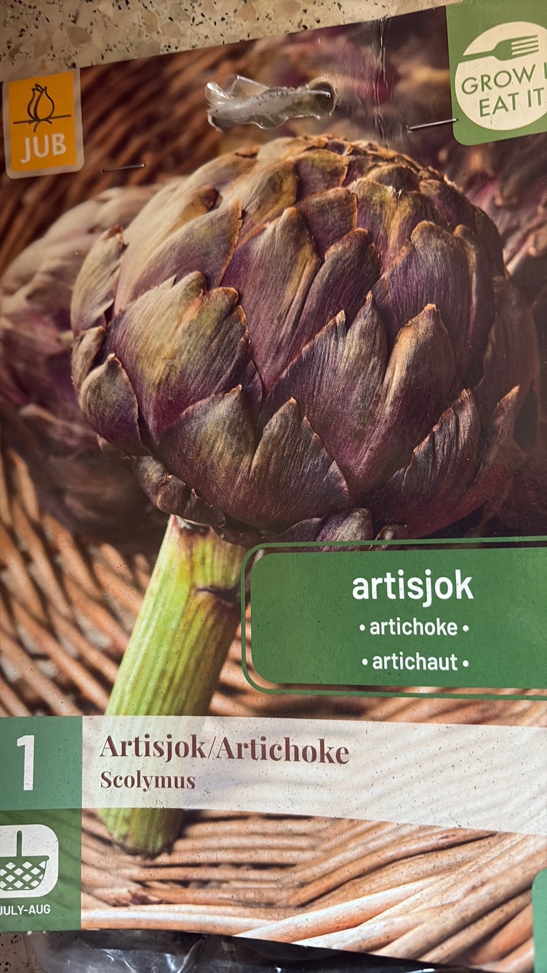 Artisjok, Jardin & Terrasse, Bulbes & Semences, Enlèvement, Printemps, Plein soleil, Oignon