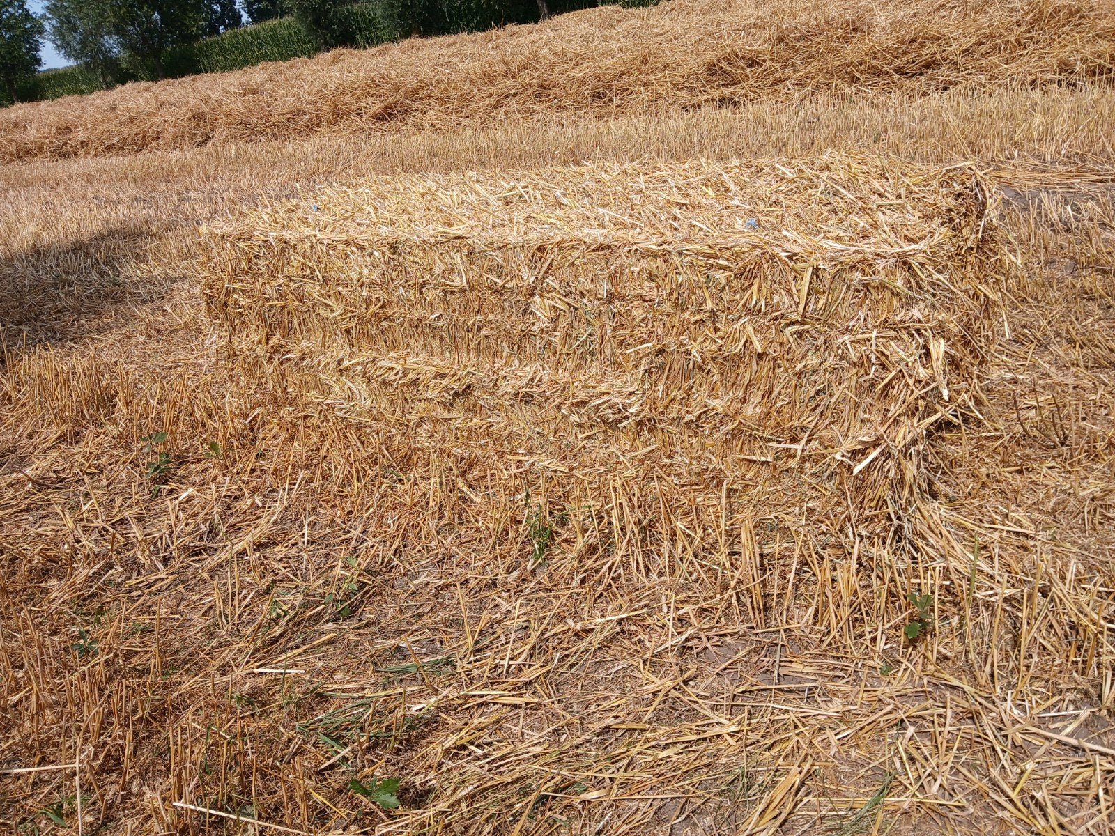 pakken stro 80x80x200, Dieren en Toebehoren