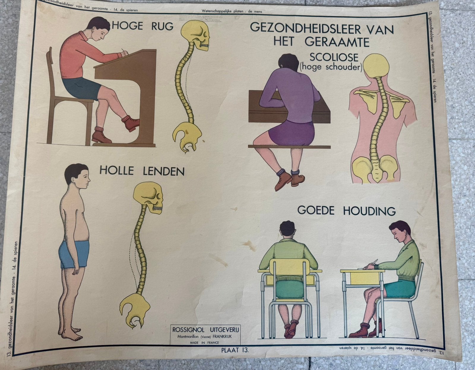 24 oude Rossignol schoolplaten in goede staat, Antiek en Kunst, Ophalen, Natuur en Biologie