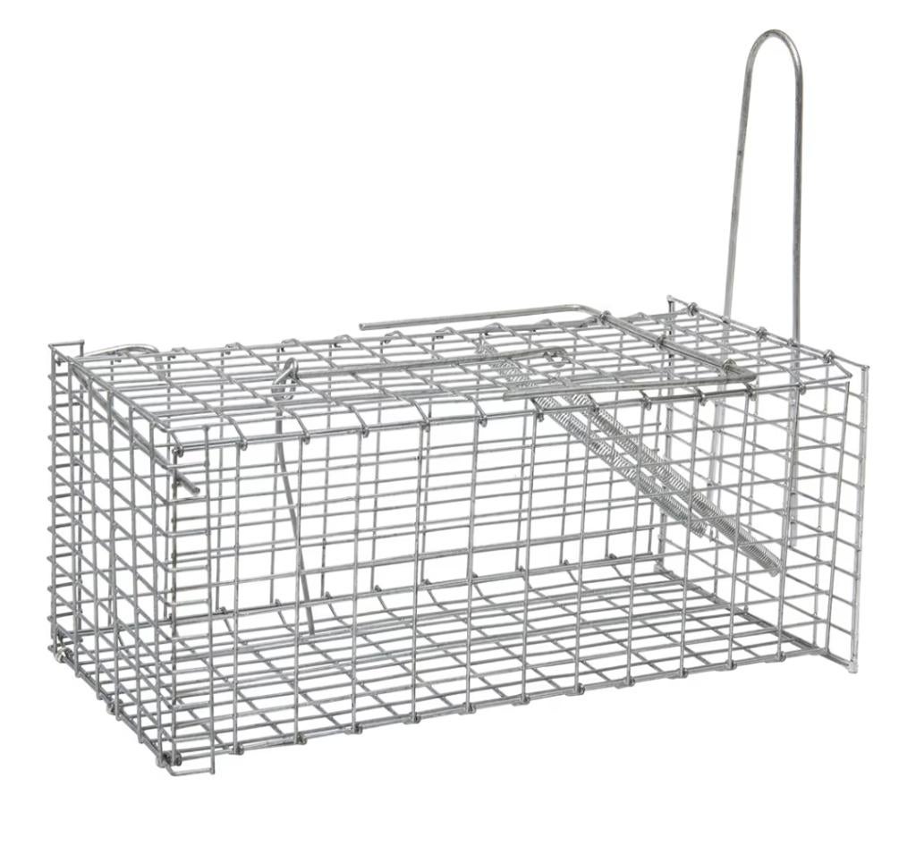 Piège à souris ou rat, Ophalen, Nieuw, Muis