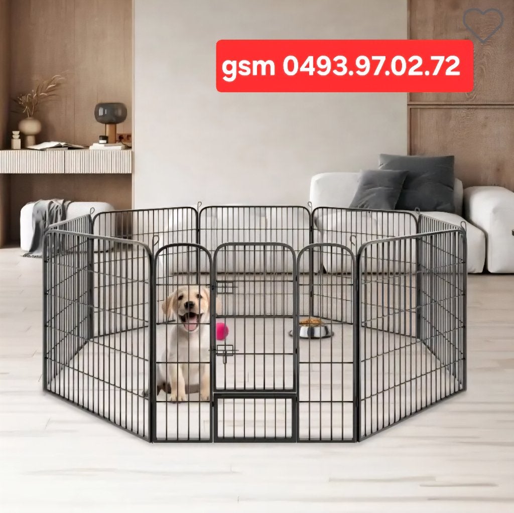 hondenren-puppyrennen NIEUW, Ophalen, Nieuw
