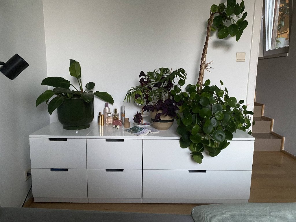 Rangements, Ophalen, 100 tot 150 cm, 5 laden of meer, Zo goed als nieuw