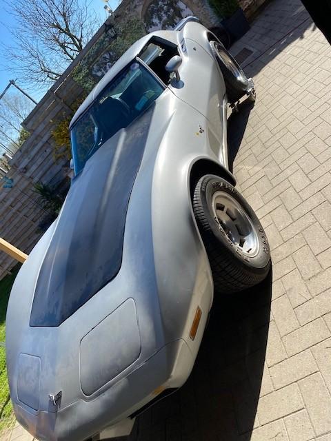 corvette 77, Autos, Chevrolet, Achat, 5700 cm³, Corvette, Automatique