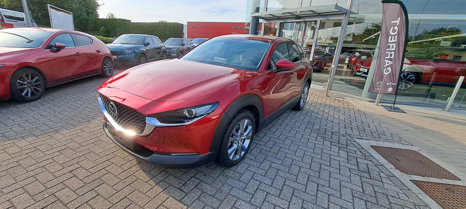 Mazda CX-30 Skycruise (année de construction 2021), Autos, Achat, Euro 6, Entreprise, Autres couleurs