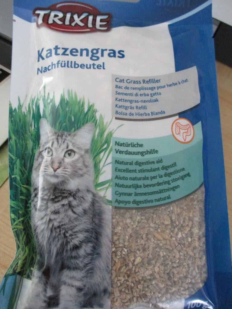 kattengras  GERESERVEERD, Ophalen of Verzenden, Nieuw
