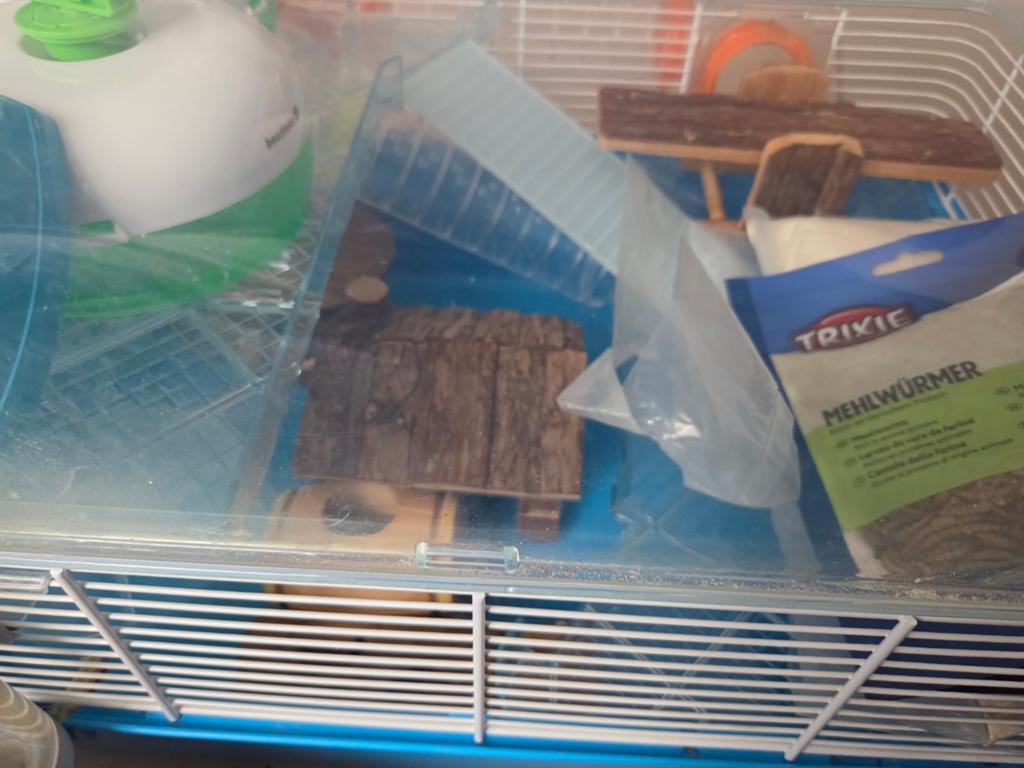 Hamsterkooi met alle benodigdheden, Ophalen