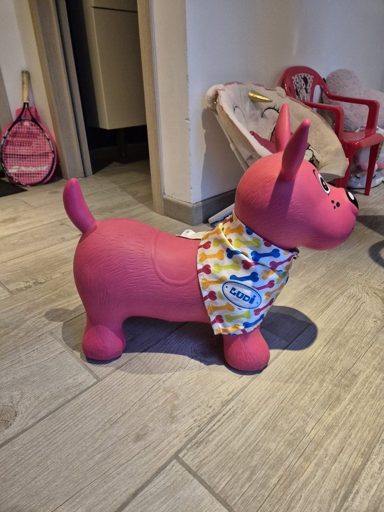 Jouet chien sauteur, Enlèvement, Comme neuf, Baby Gym